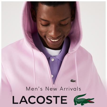 Catalog Lacoste | Men's New Arrivals | 20.08.2022 - 14.10.2022