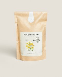 Ofertă Semințe De Crizanteme 59,9 lei la Zara Home