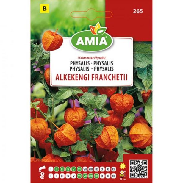 Ofertă Seminte flori de primavara, Physalis, portocaliu, Amia 3,45 lei