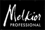 Logo Melkior